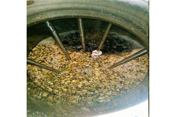 Ultrasonic Extraction and Preservation