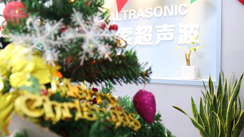 Altrasonic team wish you Merry Christmas and Happy New Year 2022!